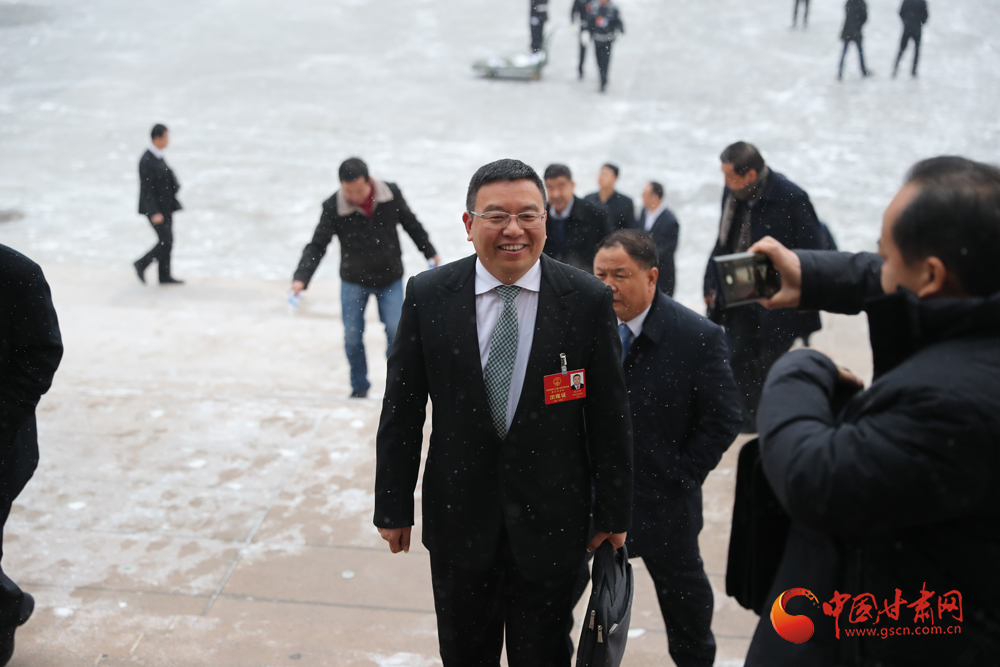 【聚焦2020甘肅兩會】“兩會”代表、委員風(fēng)采掠影（組圖）