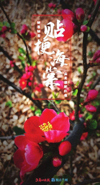 來，跟這些美美的花朵認(rèn)識(shí)一下！