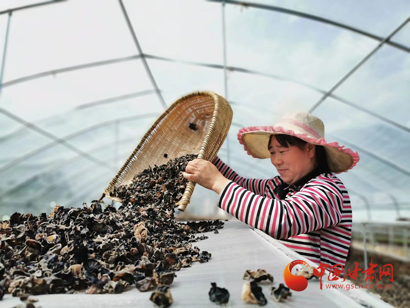 康縣：木耳菌袋結(jié)出脫貧致富的“幸?；ā?>
        </a><em>康縣：木耳菌袋結(jié)出脫貧致富的“幸?；ā?/em></li>
    <li><a  target=