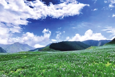 “領(lǐng)略不一樣的夏季風(fēng)情！”走進(jìn)中國旅游避暑勝地武威