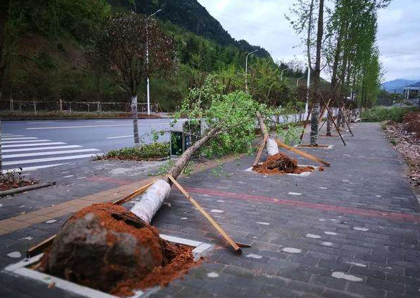 刮風(fēng)下雨加速新冠病毒傳播？別信！