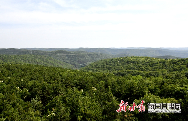【甘肅生態(tài)環(huán)保媒體行】子午嶺深處，一家三代人用生命守護黃土高原的“天然生態(tài)屏障”