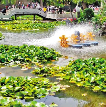 走，到五泉山公園看花展去