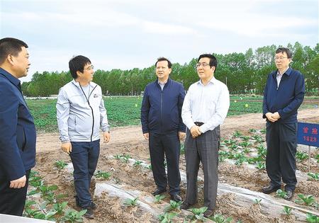 林鐸在天?？h調(diào)研指導(dǎo)脫貧攻堅(jiān)工作時(shí)強(qiáng)調(diào)  拉開架勢(shì)持續(xù)用力構(gòu)建扶貧產(chǎn)業(yè)體系 多措并舉固強(qiáng)補(bǔ)弱鞏固提升脫貧成果