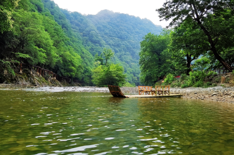 【小隴畫報·95期】康縣：來陽壩，“森”呼吸，我“氧”你