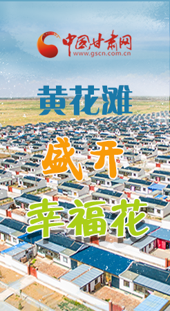 【跟著總書記看甘肅】長圖|武威黃花灘盛開幸?；?