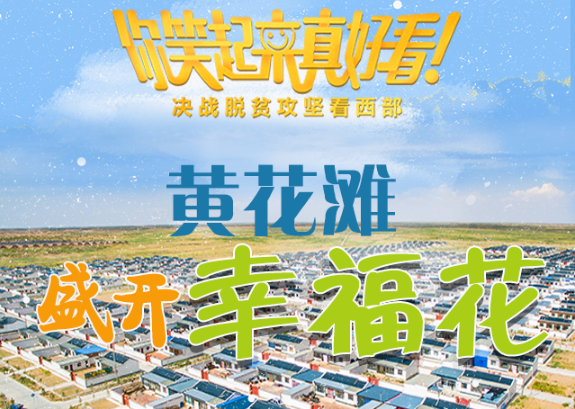 【你笑起來真好看】黃花灘盛開幸?；ǎ▓D解）