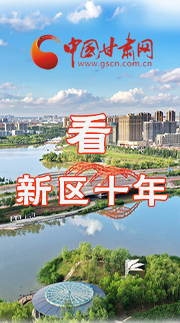 圖解|崛起！新區(qū)十年