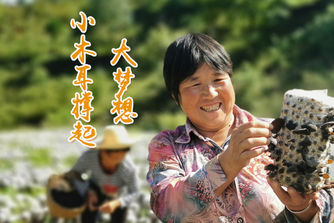 海報(bào)丨他們，乘“豐”破浪！