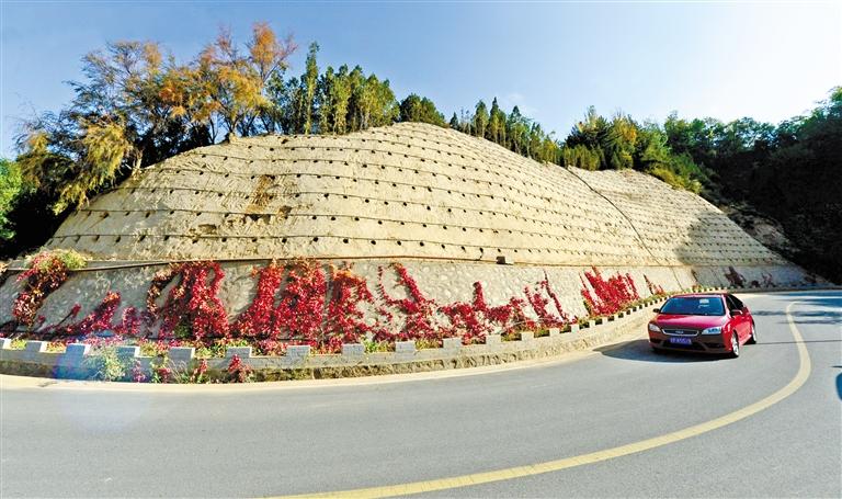 近90度陡坡上種樹！蘭州南北兩山綠化出新招