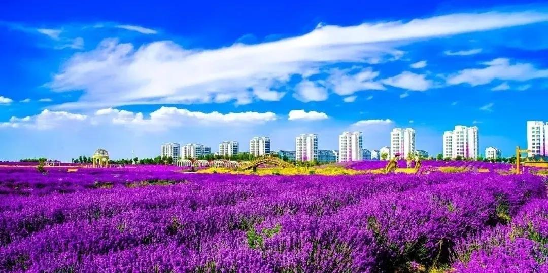喜訊！金昌蟬聯(lián)全國文明城市