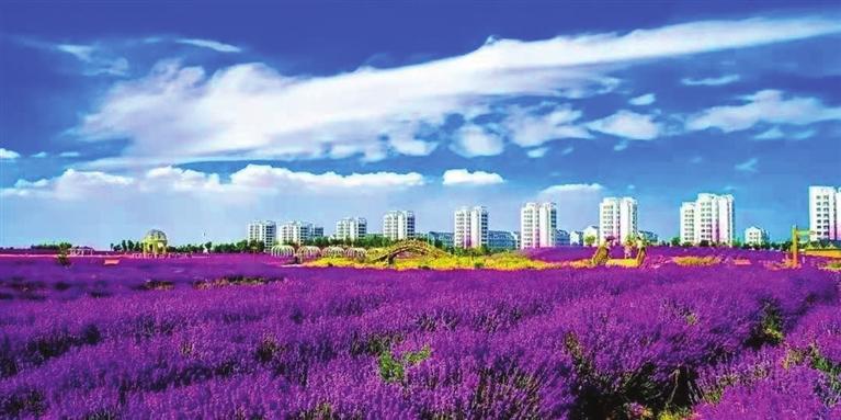 “三連冠”！金昌蟬聯(lián)全國文明城市