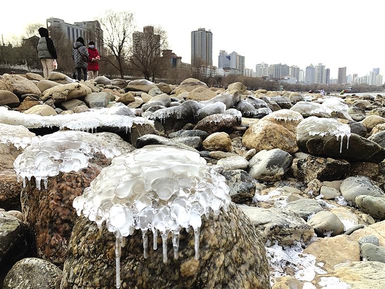 蘭州：水母上河灘？