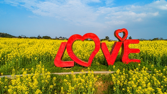 “l(fā)ove”創(chuàng)意拍照墻。廖濤 攝