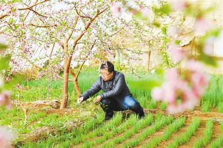 甘肅：時(shí)令催人耕種忙，不誤田間一季春