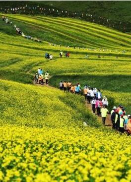 甘肅明確農(nóng)民進(jìn)城落戶:不以退出承包地、林地等為條件