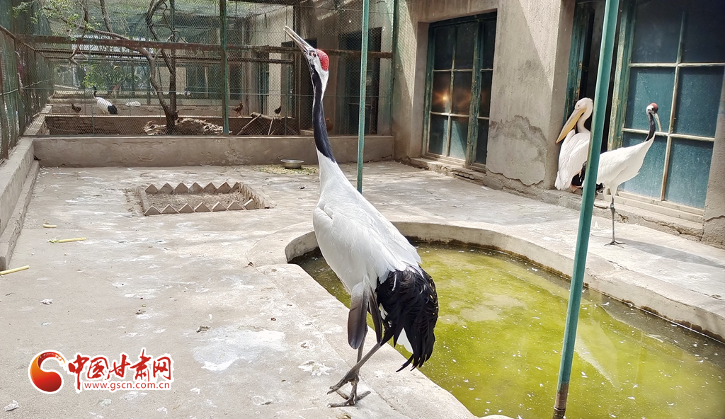 蘭州公安提醒市民：非緊急非必要，不出境