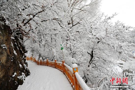 圖為上山的石階被雪覆蓋。張?zhí)鞂?攝