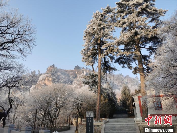 圖為崆峒山霧凇景色美不勝收?！⌒煺袢A 攝