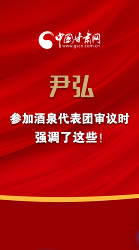 【2022甘肅兩會·圖解】尹弘書記參加酒泉代表團審議時強調(diào)了這些！