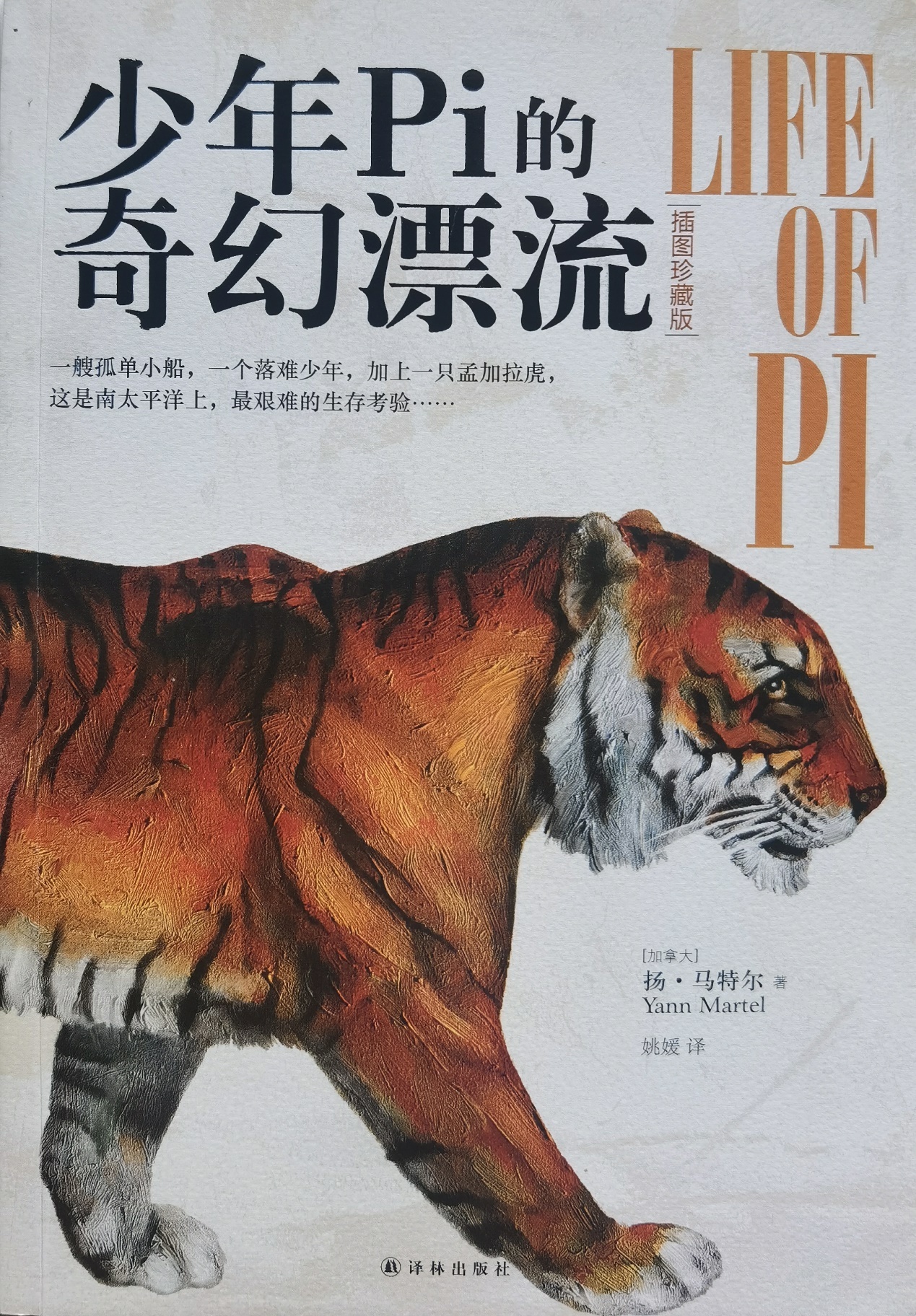 插圖1：揚(yáng)？馬特爾的小說《少年pi的奇幻漂流》封面