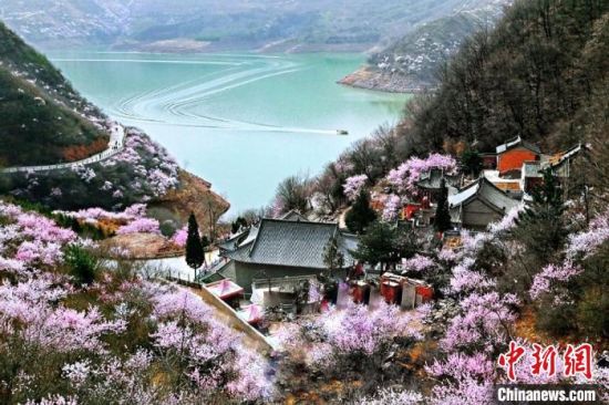 甘肅平?jīng)鍪惺侵袊鴥?yōu)秀旅游城市。圖為平?jīng)鲠轻忌较率锾一ㄊ㈤_。(資料圖) 平?jīng)鍪形麄鞑抗﹫D