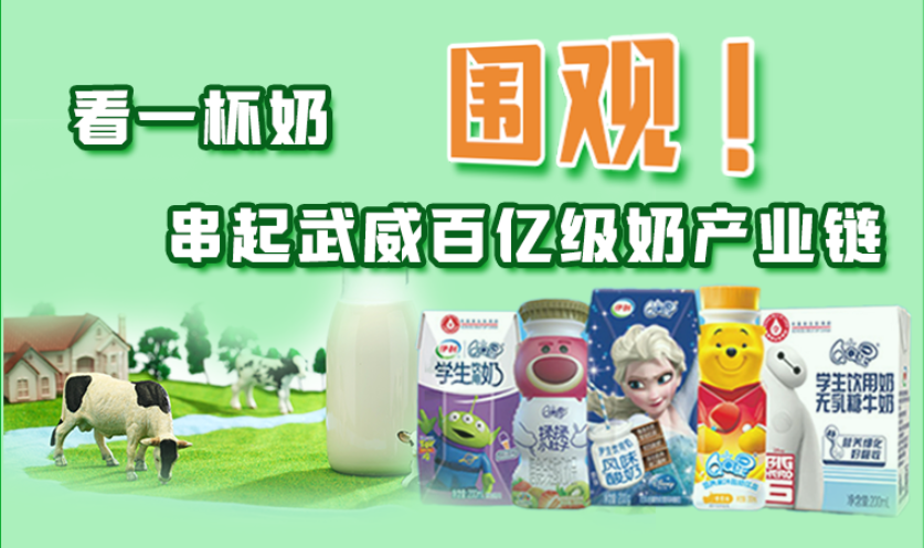 圖解|圍觀！看一杯奶串起武威百億級(jí)奶產(chǎn)業(yè)鏈