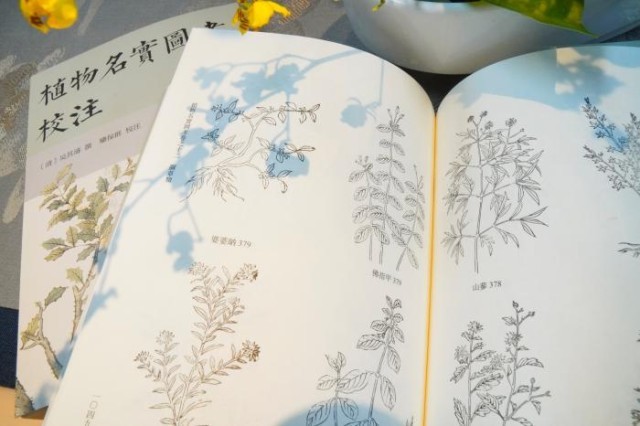 《植物名實(shí)圖考校注》內(nèi)頁(yè)。圖片來(lái)源：中華書(shū)局供圖