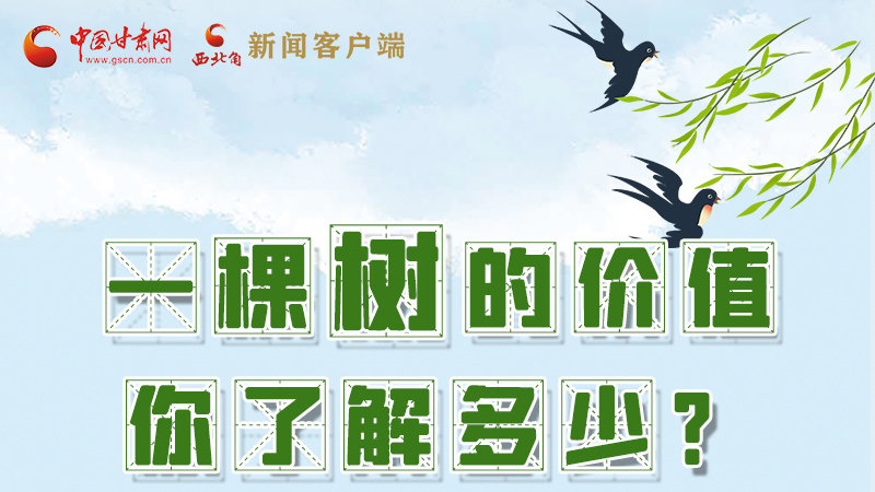 圖解|一棵樹的價(jià)值你了解多少?來看！