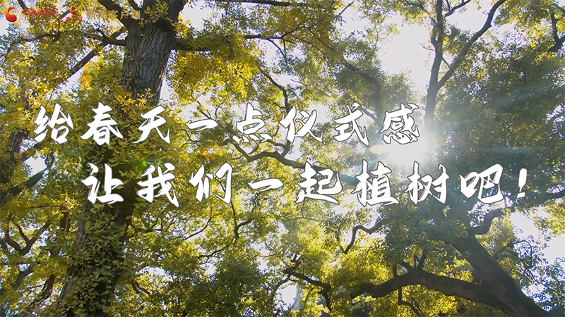 短視頻|給春天一點(diǎn)儀式感，讓我們一起植樹吧！
