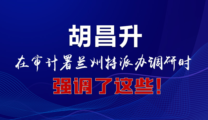 圖解|胡昌升在審計署蘭州特派辦調(diào)研時強調(diào)了這些！