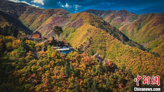 深秋，位于蘭州市榆中縣的興隆山，似打翻調(diào)色板。金峯 攝