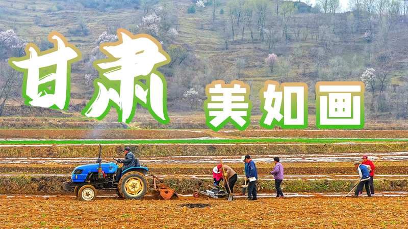 微海報|甘肅，美如畫