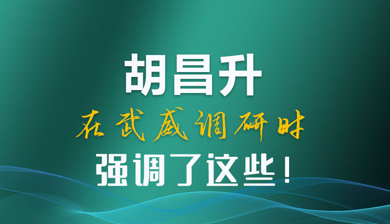 圖解|胡昌升在武威調(diào)研時強調(diào)了這些！