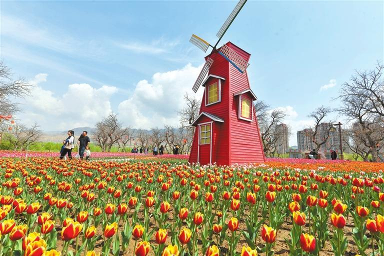 去永靖，赴一場爛漫花事