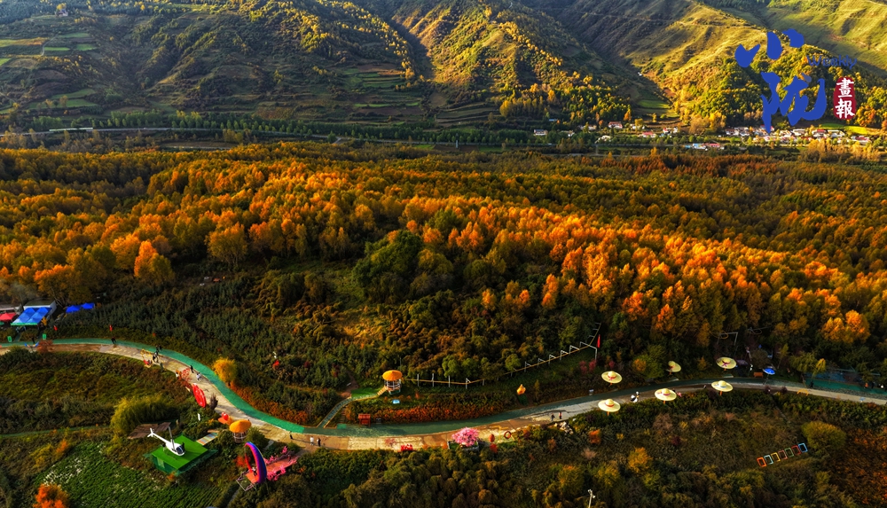 【小隴畫報(bào)·419期】康樂的秋日 盡在這些斑斕色彩中